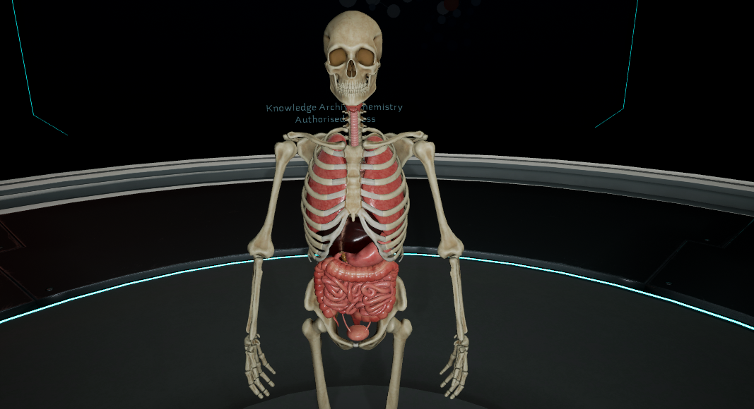 Biologia: Anatomia ogólna